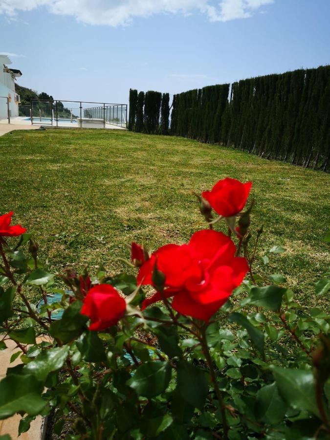 Dana I Eurogolf, Vistas, Wifi, Piscina Y Parking Διαμέρισμα Benalmádena Εξωτερικό φωτογραφία